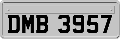 DMB3957
