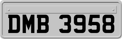 DMB3958