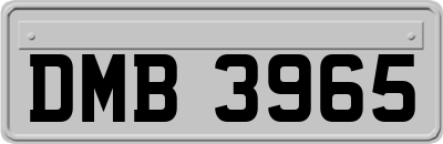 DMB3965