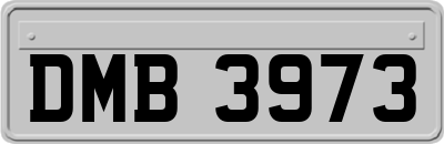 DMB3973