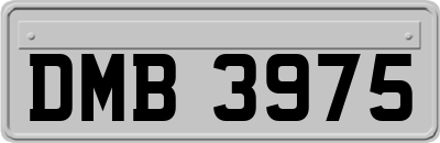 DMB3975