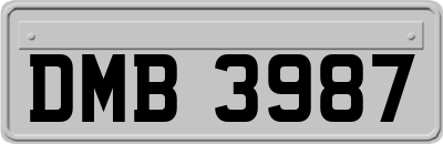 DMB3987