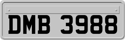 DMB3988