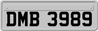 DMB3989