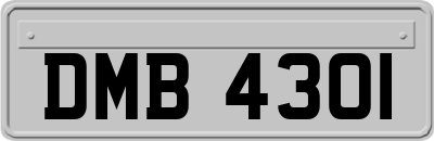 DMB4301