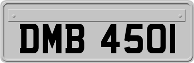 DMB4501