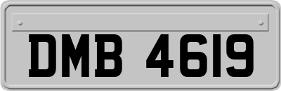 DMB4619