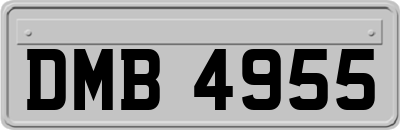 DMB4955