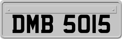 DMB5015