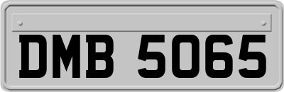 DMB5065