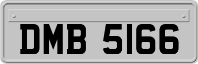 DMB5166