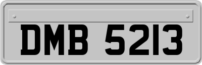 DMB5213