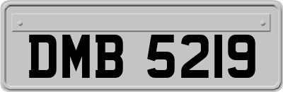 DMB5219