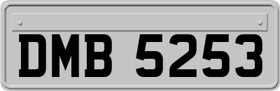 DMB5253