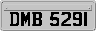 DMB5291