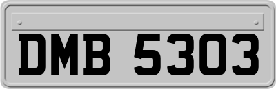 DMB5303