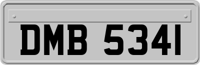 DMB5341