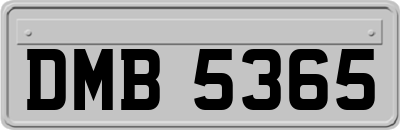 DMB5365