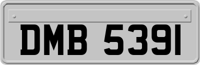 DMB5391