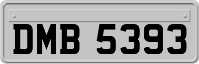 DMB5393