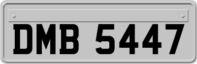 DMB5447