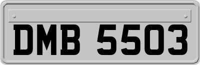 DMB5503