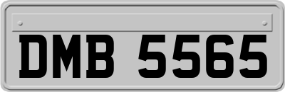 DMB5565