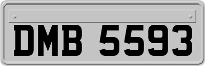DMB5593