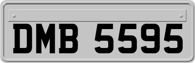 DMB5595