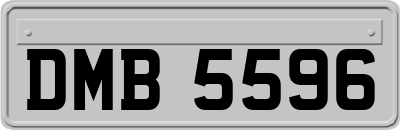 DMB5596