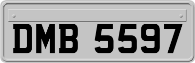 DMB5597
