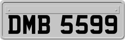 DMB5599