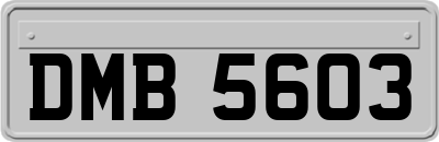 DMB5603