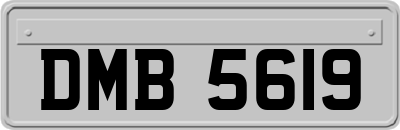 DMB5619