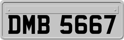 DMB5667