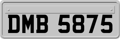 DMB5875