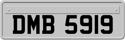 DMB5919