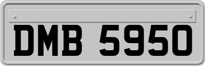 DMB5950