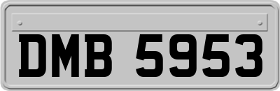 DMB5953