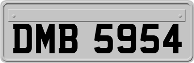 DMB5954