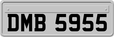 DMB5955