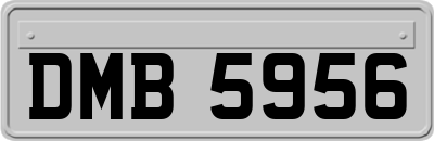 DMB5956