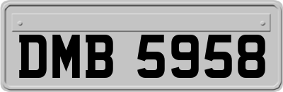 DMB5958
