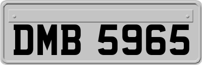 DMB5965