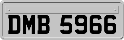 DMB5966