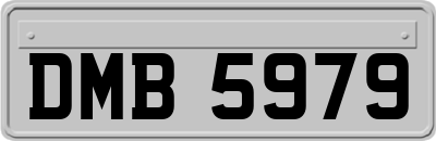 DMB5979