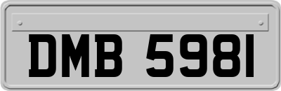 DMB5981