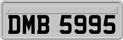 DMB5995