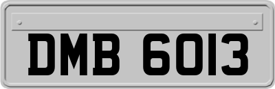 DMB6013