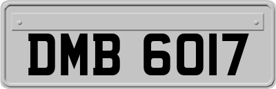 DMB6017